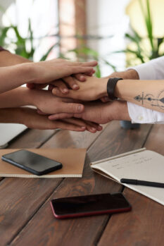 sobre a mtp consultoria equipe mãos unidas